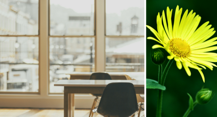 Updated Blog Post Spring Clean Your Business: Go Paperless!